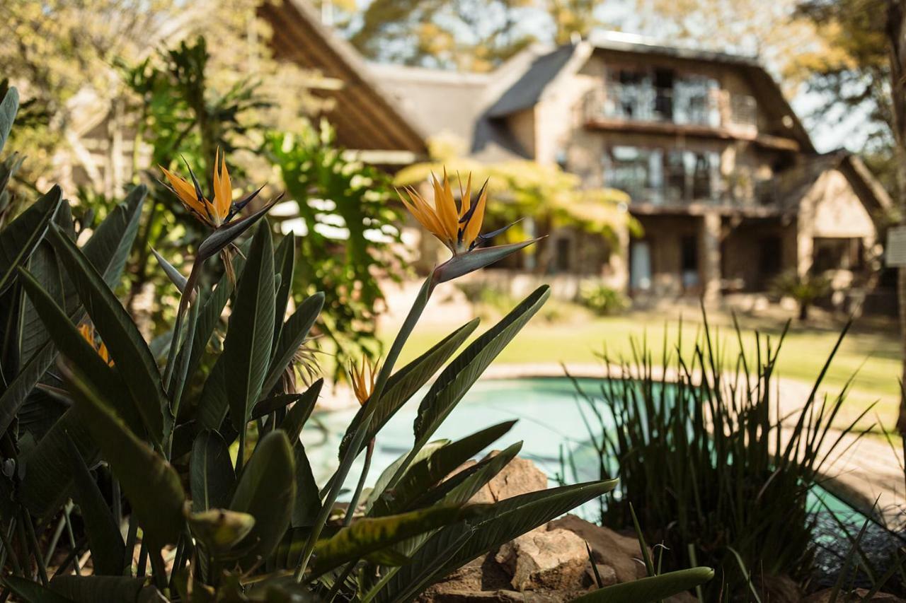 50 On Shepherd Boutique Guest House Sandton Dış mekan fotoğraf